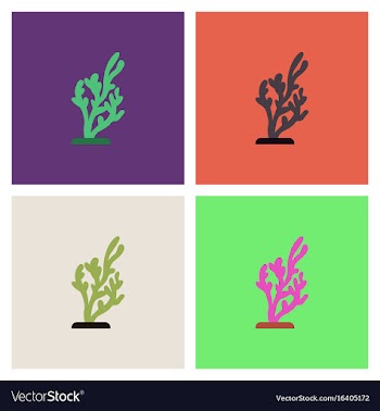 Seaweed icon collection vector image