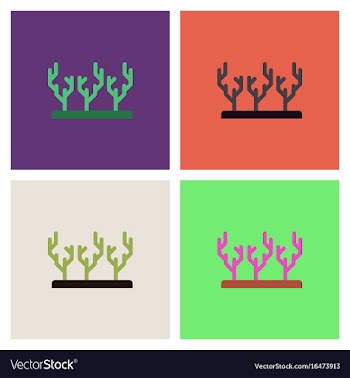 Seaweed icon collection vector image