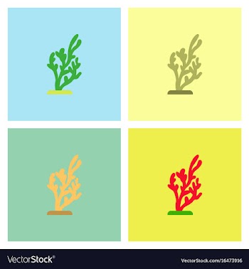 Seaweed icon collection vector image