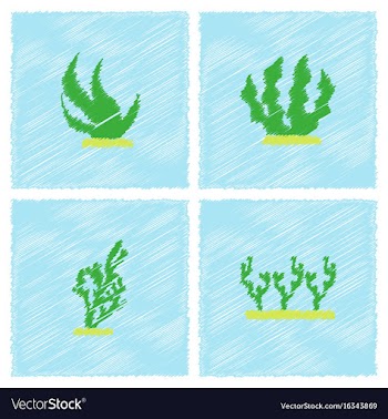Seaweed icon in hatching style vector image