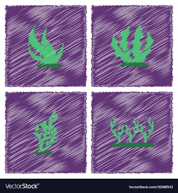 Seaweed icon in hatching style vector image