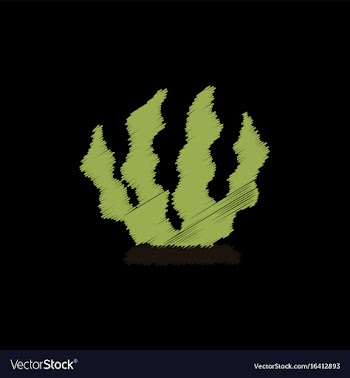 Seaweed icon in hatching style vector image