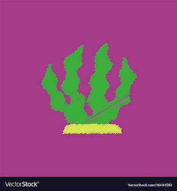 Seaweed icon in hatching style vector image
