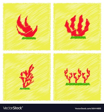 Seaweed icon in hatching style vector image