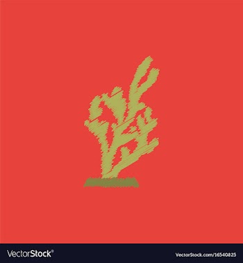 Seaweed icon in hatching style vector image