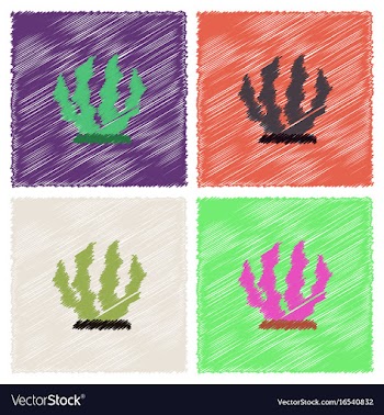Seaweed icon in hatching style vector image