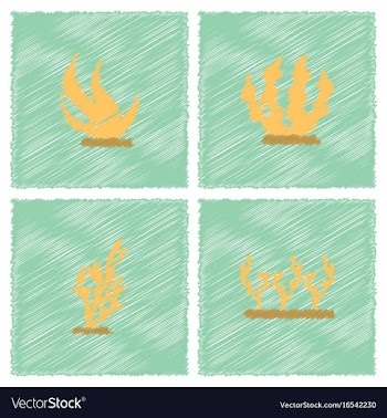 Seaweed icon in hatching style vector image