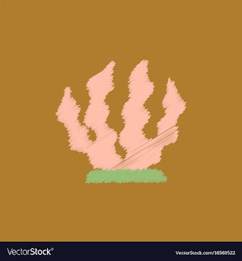 Seaweed icon in hatching style vector image
