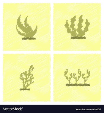 Seaweed icon in hatching style vector image