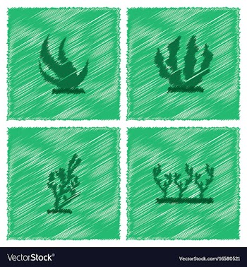 Seaweed icon in hatching style vector image