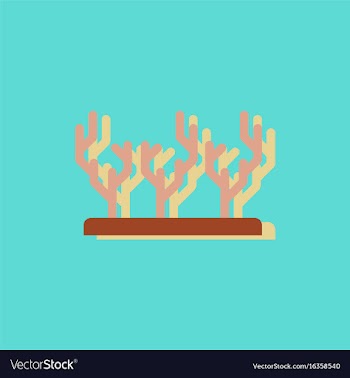 Seaweed icon in sticker style vector image