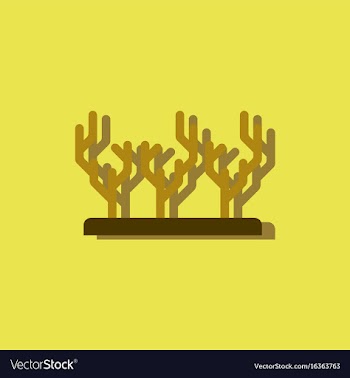 Seaweed icon in sticker style vector image