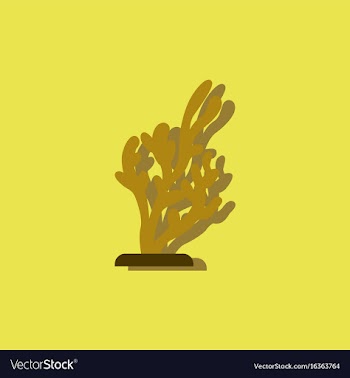 Seaweed icon in sticker style vector image