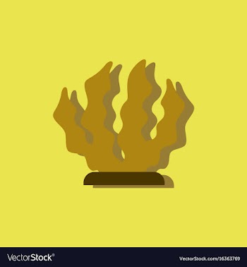 Seaweed icon in sticker style vector image