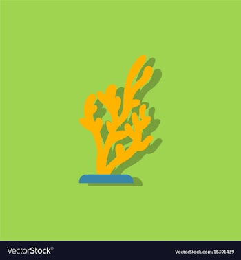 Seaweed icon in sticker style vector image
