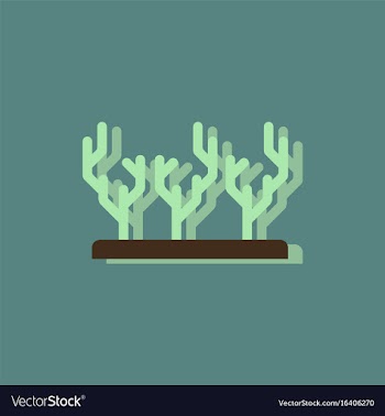 Seaweed icon in sticker style vector image