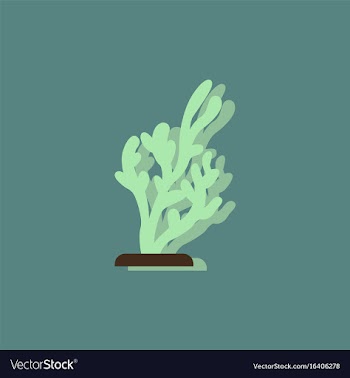 Seaweed icon in sticker style vector image