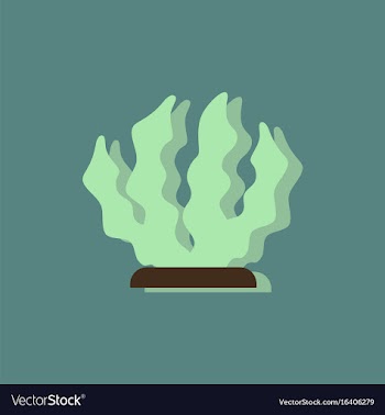 Seaweed icon in sticker style vector image
