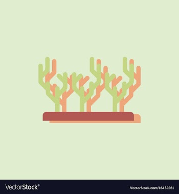 Seaweed icon in sticker style vector image