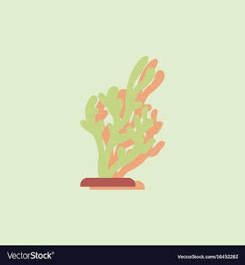 Seaweed icon in sticker style vector image