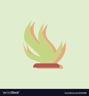 Seaweed icon in sticker style vector image