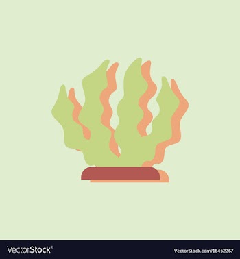 Seaweed icon in sticker style vector image