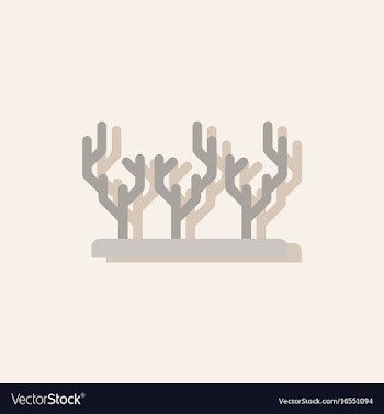 Seaweed icon in sticker style vector image