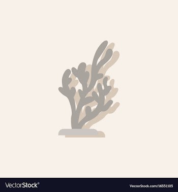 Seaweed icon in sticker style vector image