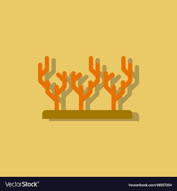 Seaweed icon in sticker style vector image