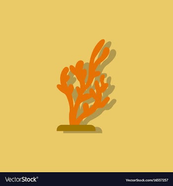 Seaweed icon in sticker style vector image