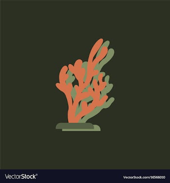 Seaweed icon in sticker style vector image