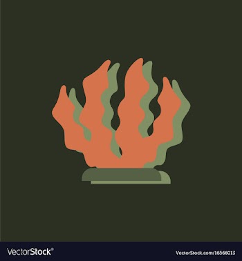 Seaweed icon in sticker style vector image
