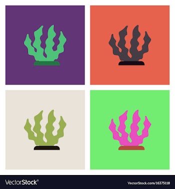 Seaweed icon set vector image