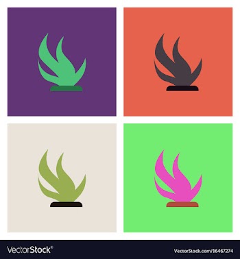 Seaweed icon set vector image