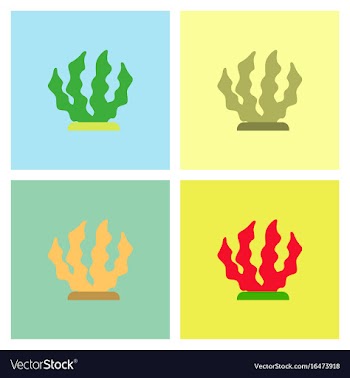 Seaweed icon set vector image