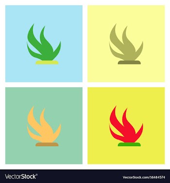 Seaweed icon set vector image