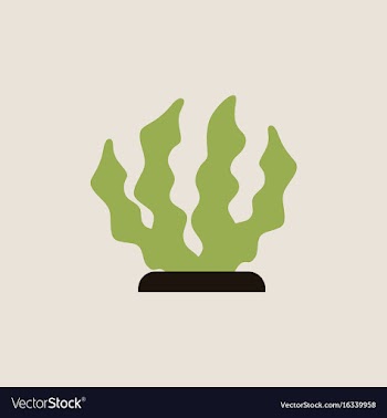 Seaweed icon vector image