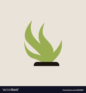 Seaweed icon vector image