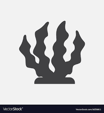 Seaweed icon vector image