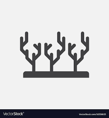 Seaweed icon vector image