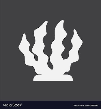 Seaweed icon vector image