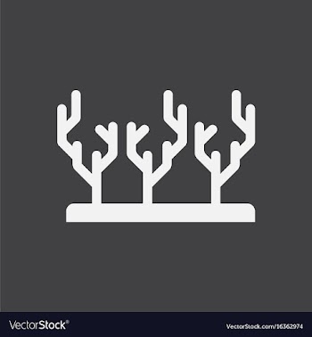 Seaweed icon vector image