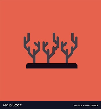 Seaweed icon vector image