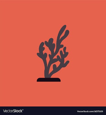 Seaweed icon vector image