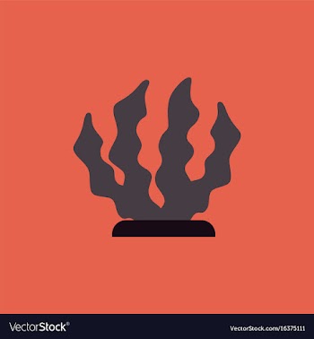Seaweed icon vector image