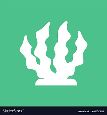 Seaweed icon vector image