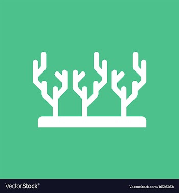 Seaweed icon vector image