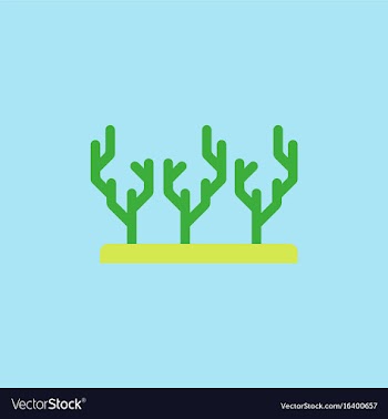 Seaweed icon vector image