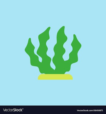 Seaweed icon vector image