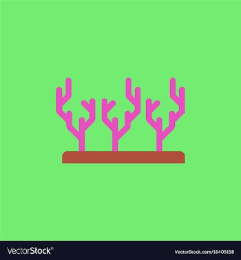 Seaweed icon vector image